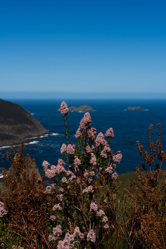 Bruny Island Travel Guide— An Adventurous Photographer’s Take