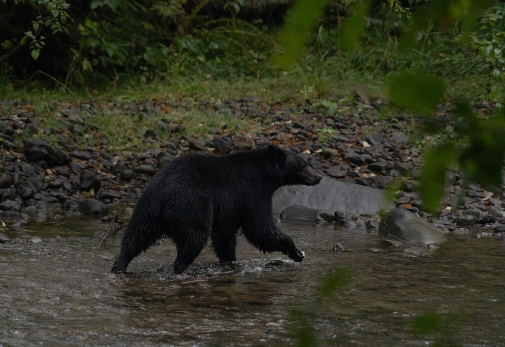 Kanada Work Permit beantragen – Mein Erfahrungsbericht & Tipps für dein Work and Travel Abenteuer 2025