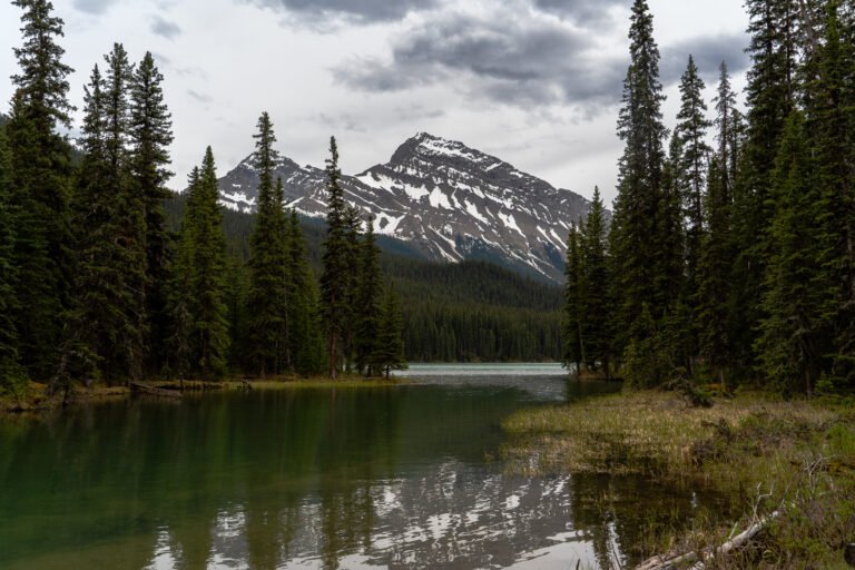 Jacques Lake Jasper mit Bergspiegelung im klaren Wasser