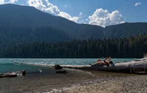 10 Dinge, die ich gerne gewusst hätte, bevor ich nach Kanada ausgewandert bin