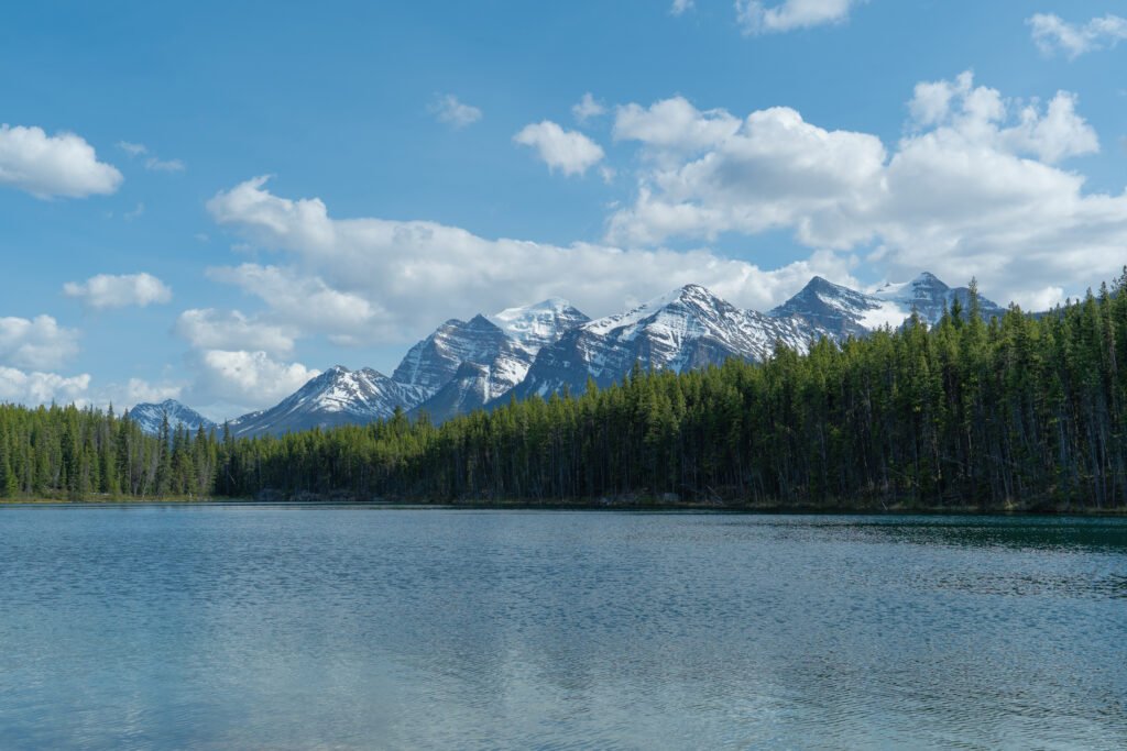 Herbert Lake