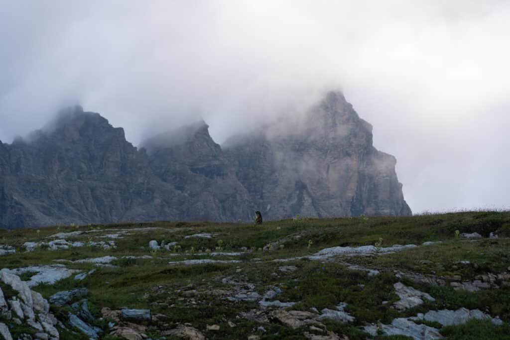 Fotografieren in den Bergen Flims, Sardona Weltkultur Erbe und Marmot